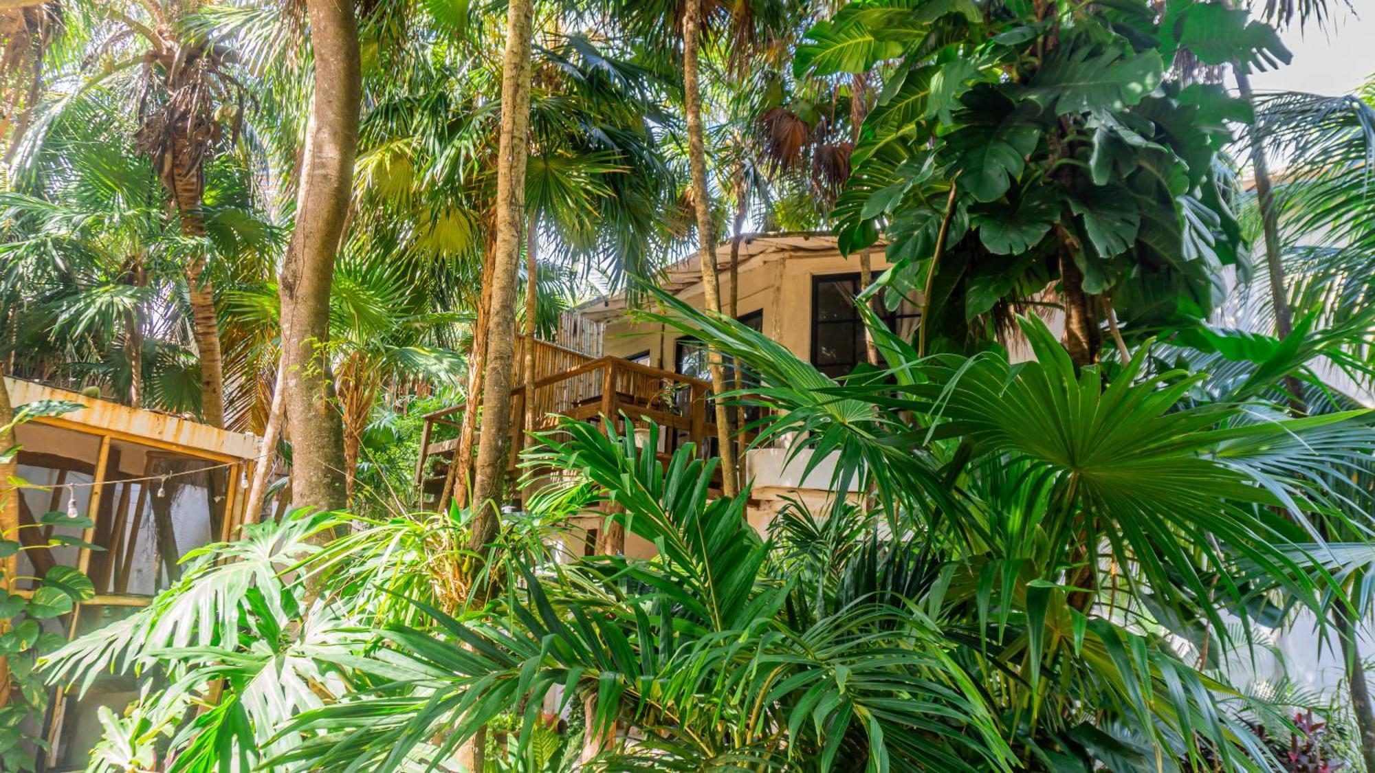 Casa Ambar Hotel & Boutique Tulum (Adults Only) Exteriör bild