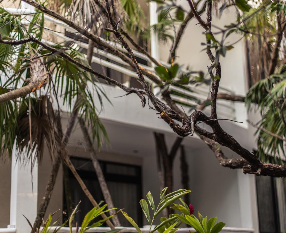 Casa Ambar Hotel & Boutique Tulum (Adults Only) Exteriör bild