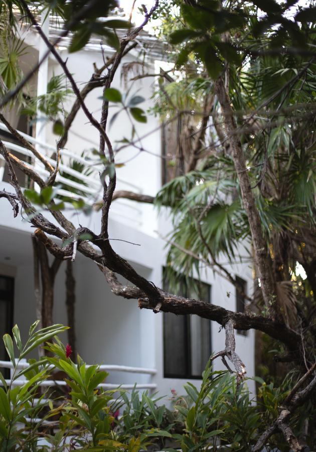 Casa Ambar Hotel & Boutique Tulum (Adults Only) Exteriör bild